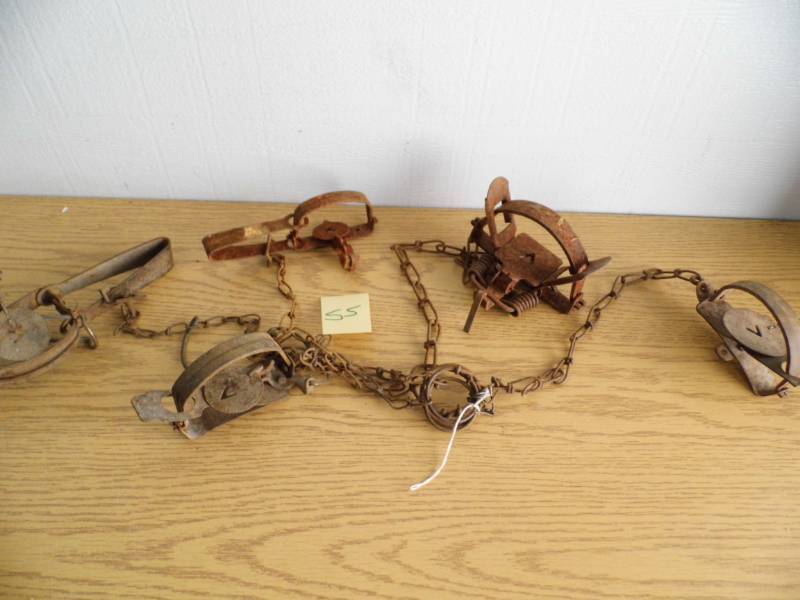 lot 55 image: Lot of 5 Victor Traps