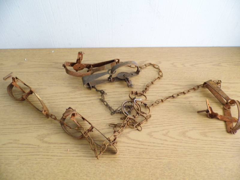 lot 56 image: Lot of 5 Victor Traps