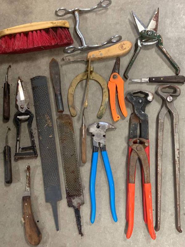 lot 9 image: Large Lot of Horse Equine Tools