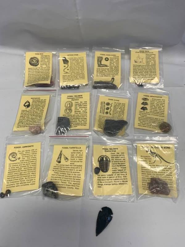 lot 72 image: Lot of 12 Fossils from Collection & Obsidian Arrowhead