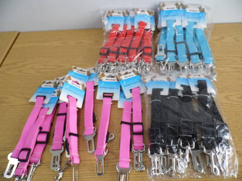 lot 5 image: Lot of 40 Assorted Windogs