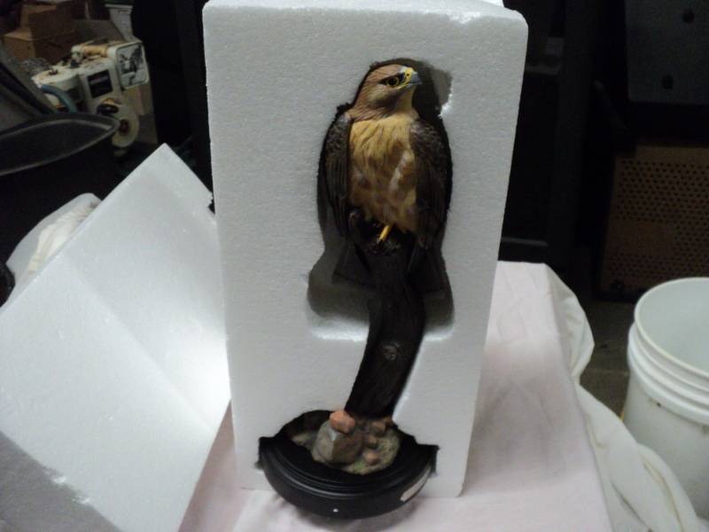 Wild Wings Red Tailed  6.5 x 15.5, ...