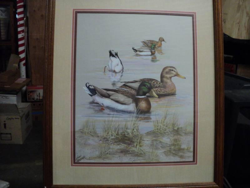 Wildlife Picture by Anni Tmoller, 2...