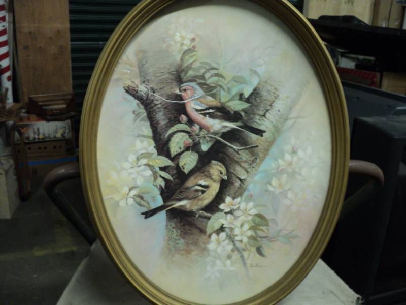 2 Bird Pictures- 17 x 21 and 19 x 1...