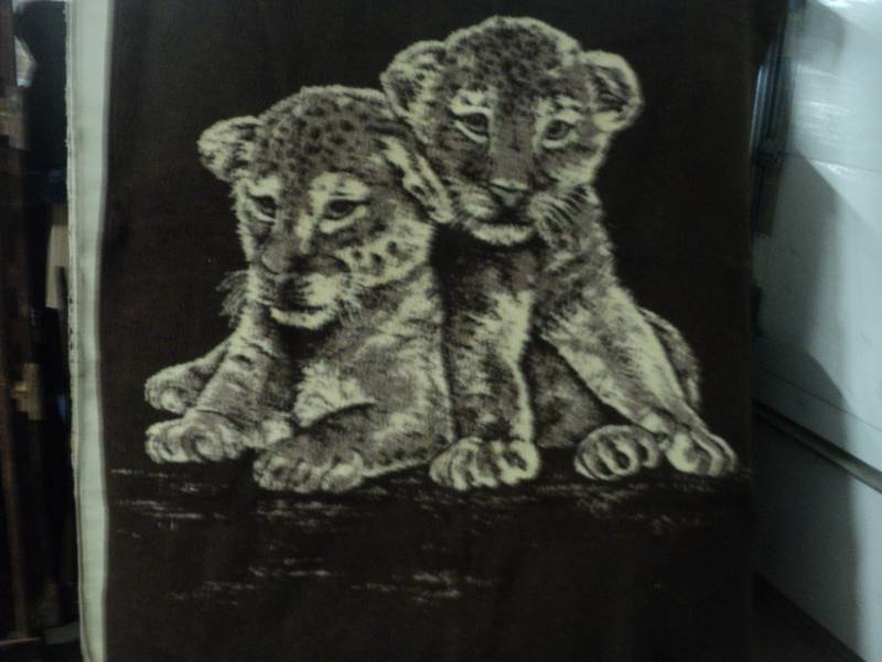 Throw with Lion Cubs 56 x 78...