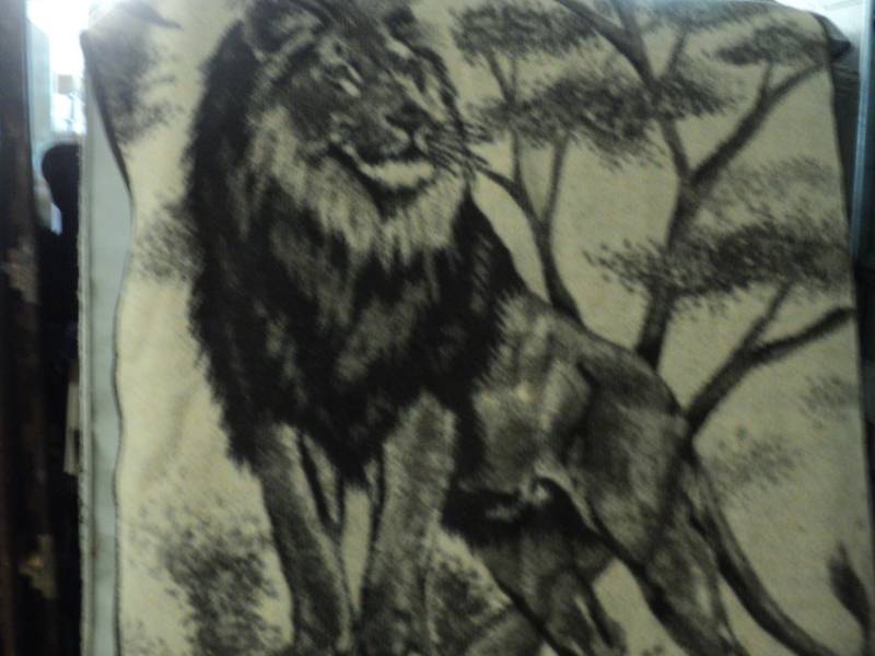 Throw with Lion 56 x 78...
