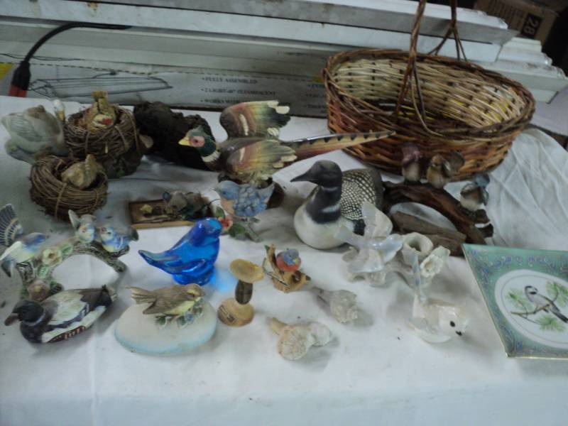 Bird Collection in a Basket...