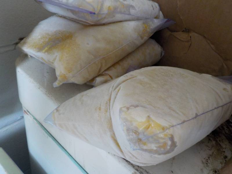 Pail of Frozen Chili and 4 Bags Fro...