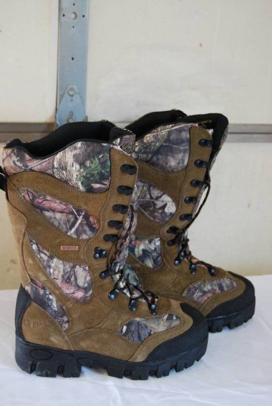 Spotsman 213 Boot and Shoe