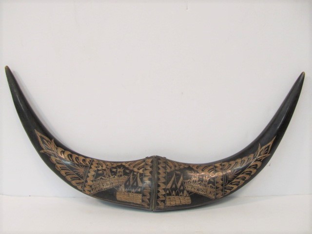 lot 21 image: Vintage Etched Water Buffalo Horns