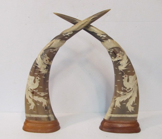 lot 24 image: Pair of LARGE Hand Carved Buffalo Horns