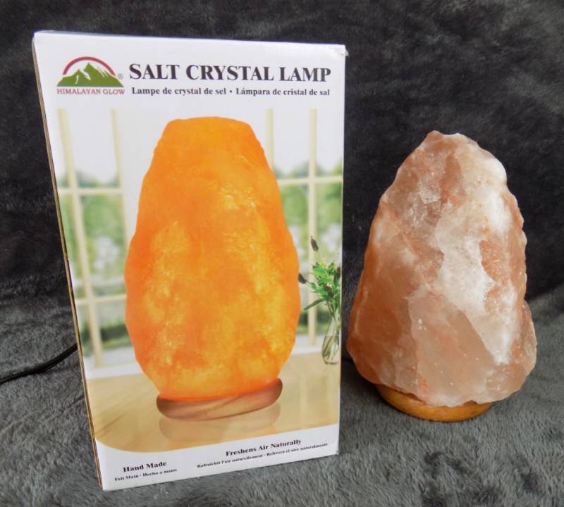 Salt Crystal Lamp & Bear Hugging Fish Waterglobe