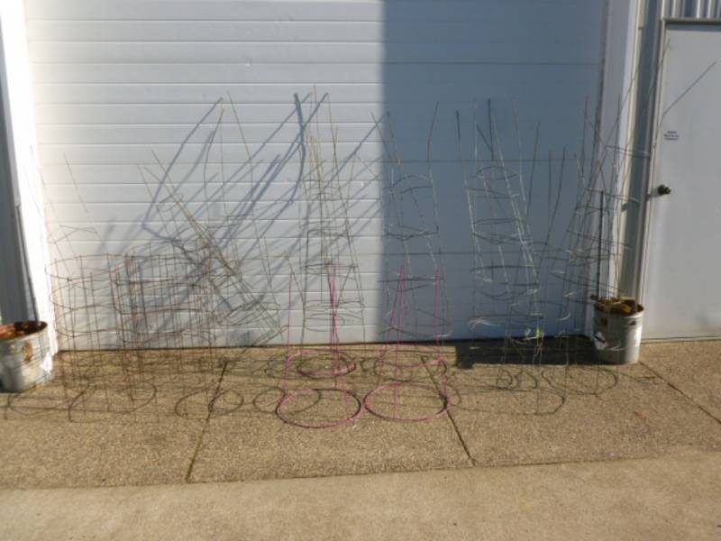 Tomato Cages