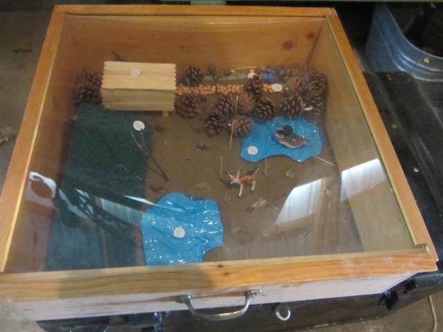 Showcase Diorama