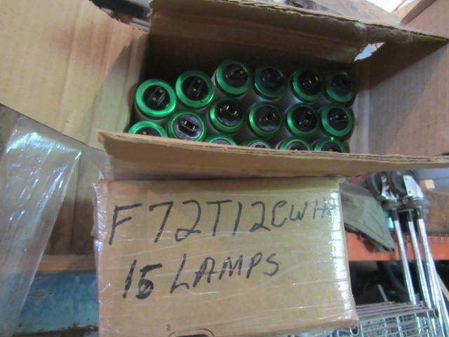 Fluorescent Light Bulbs