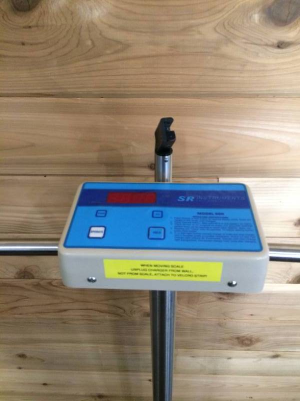 lot 64 image: Electronic Patient Weighing Scale  with Digital Display  Column type  with Safety Handrail