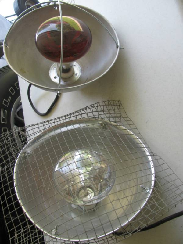 lot 32 image: Heat Lamps # 47