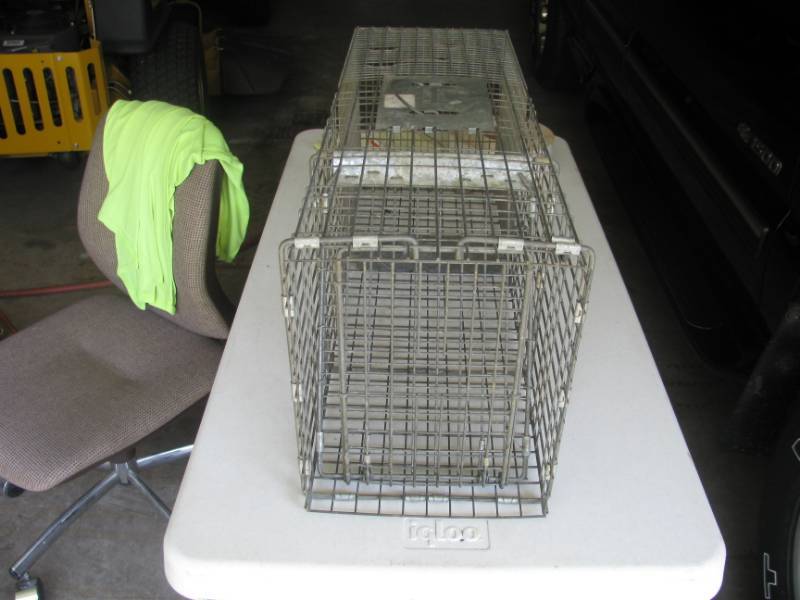 lot 33 image: Live Animal Trap # #48