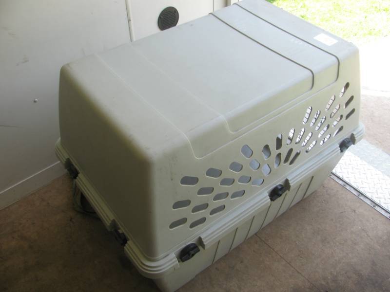 lot 47 image: Portable Dog Kennel & Igloo Cooler # 62,63