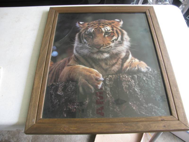 lot 169 image: Tiger Picture Dog Picture President Kennedy