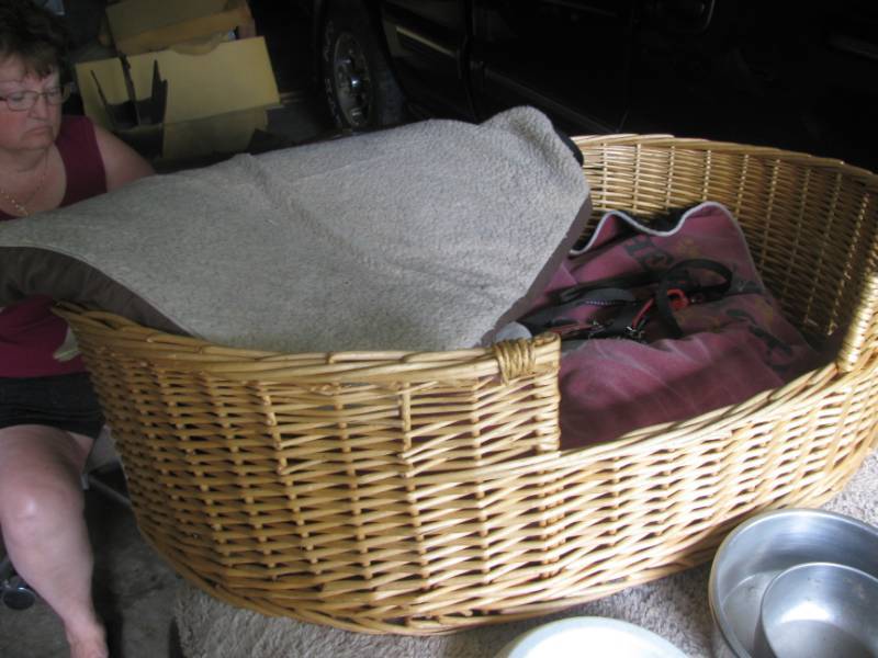 lot 184 image: Dog Bed, Pads, Dishes, Leashes #197