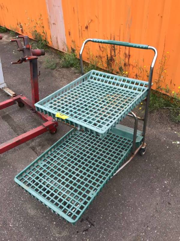 lot 68 image: Plastic 2 Level Cart