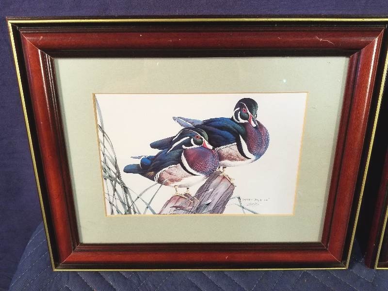 lot 26 image: Waterfowl Pictures