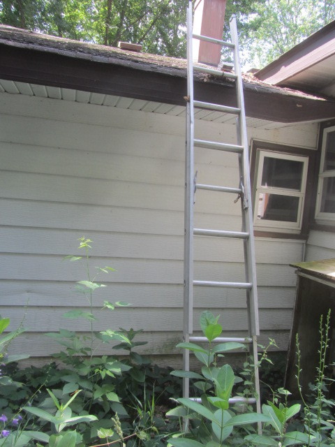 Aluminum Extension Ladder