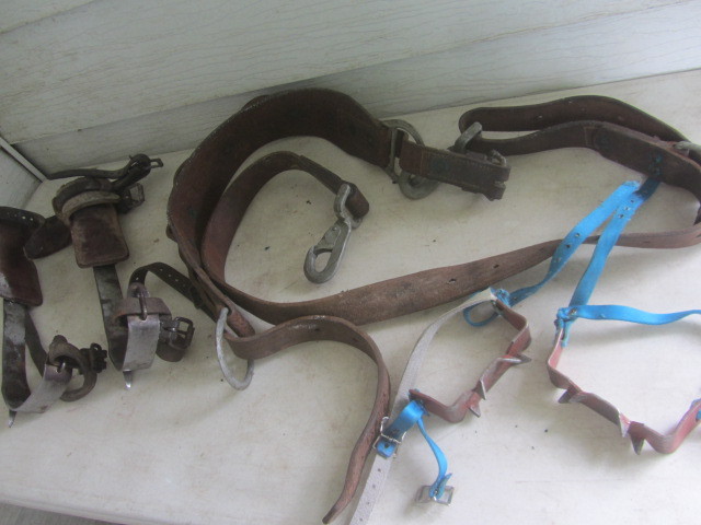 TreePole Climbing Gear