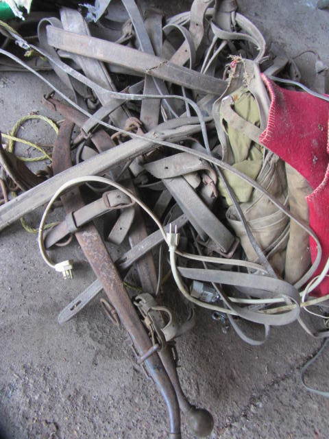 Harness