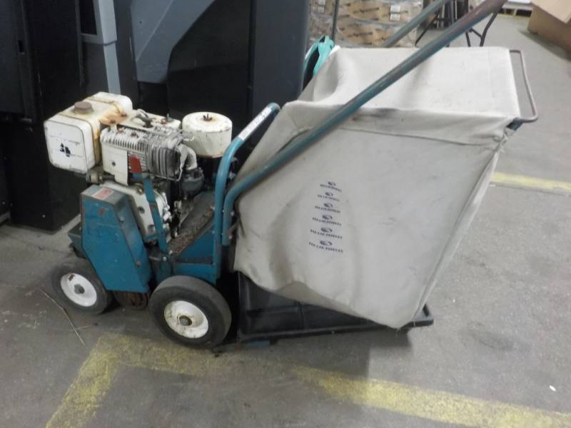 Briggs & Stratton 7HP 276 cc Thatch...