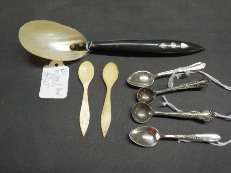 Spoon Collection- Mother of Pearl S...