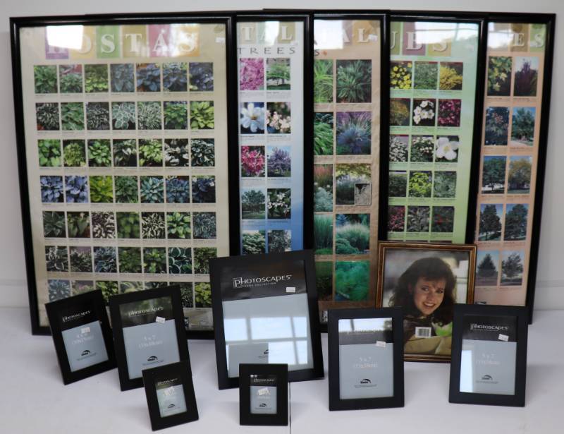 Picture Frames