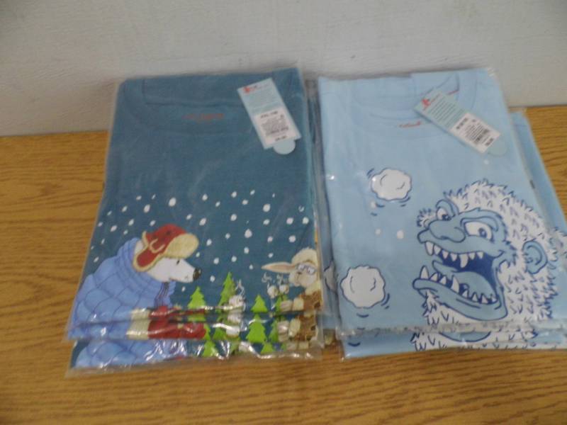 lot 13 image: Lot of 12 T Shirts