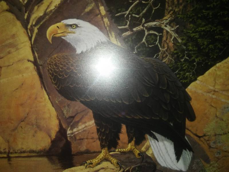 lot 189 image: Derk Hanson Guardian of the Heritage  Signed.
