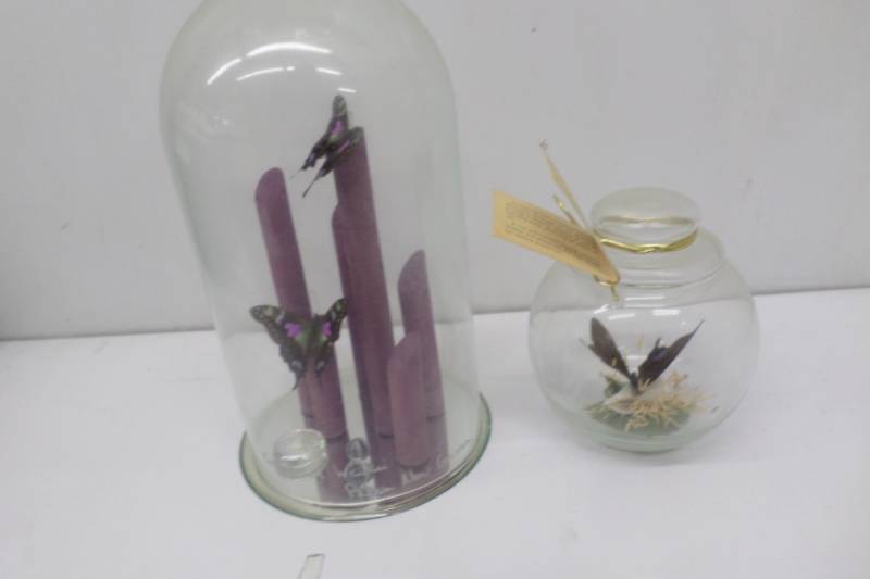lot 68 image: Two Butterfly Decorations