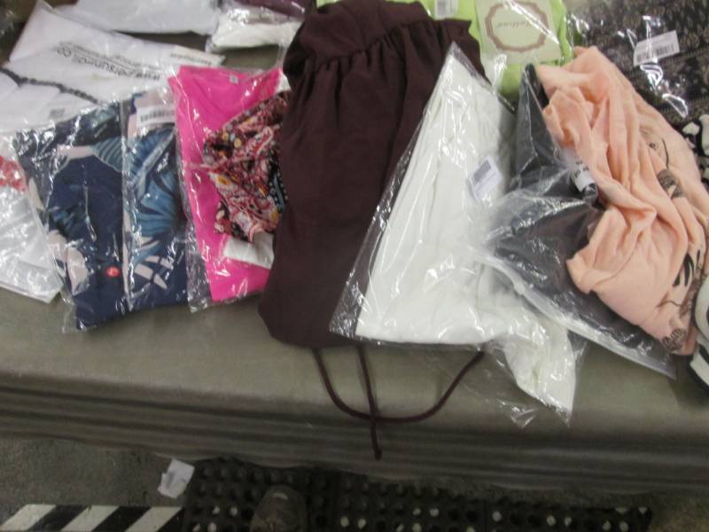 lot 46 image: 10 Assorted Ladies Tops in Varying ...