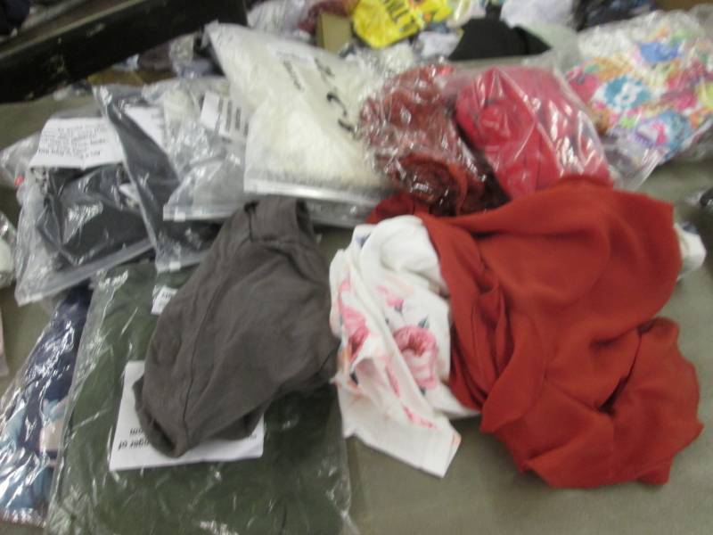 lot 60 image: 12 Assorted Ladies Tops in Varying ...