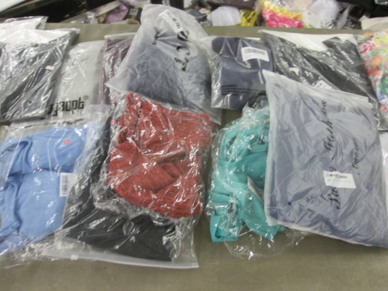 lot 65 image: 12 Assorted Ladies Tops in Varying ...