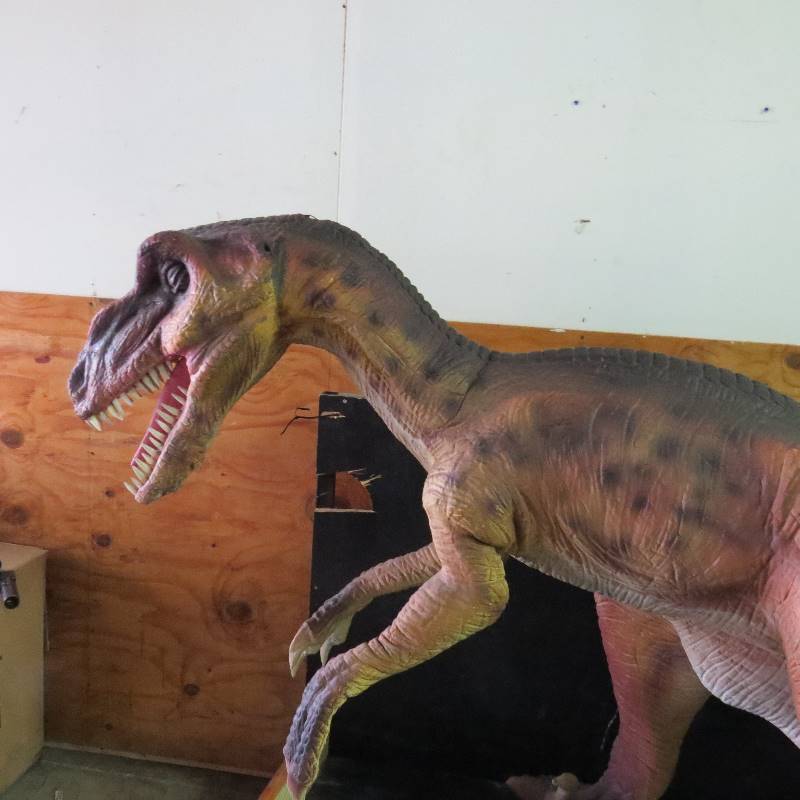 lot 75 image: Eno the Dinosaur