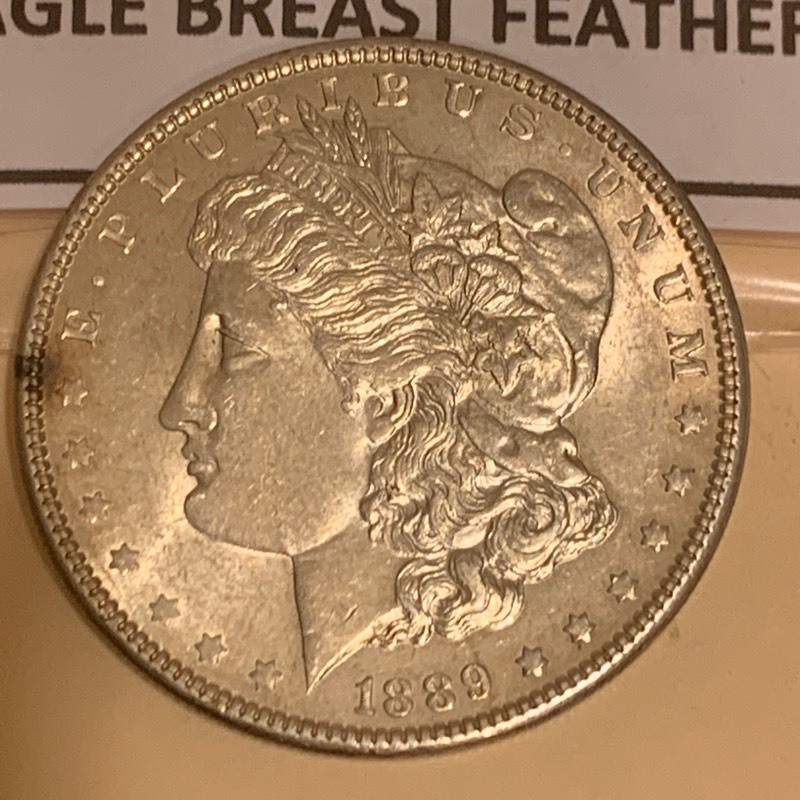 Morgan Silver Dollar