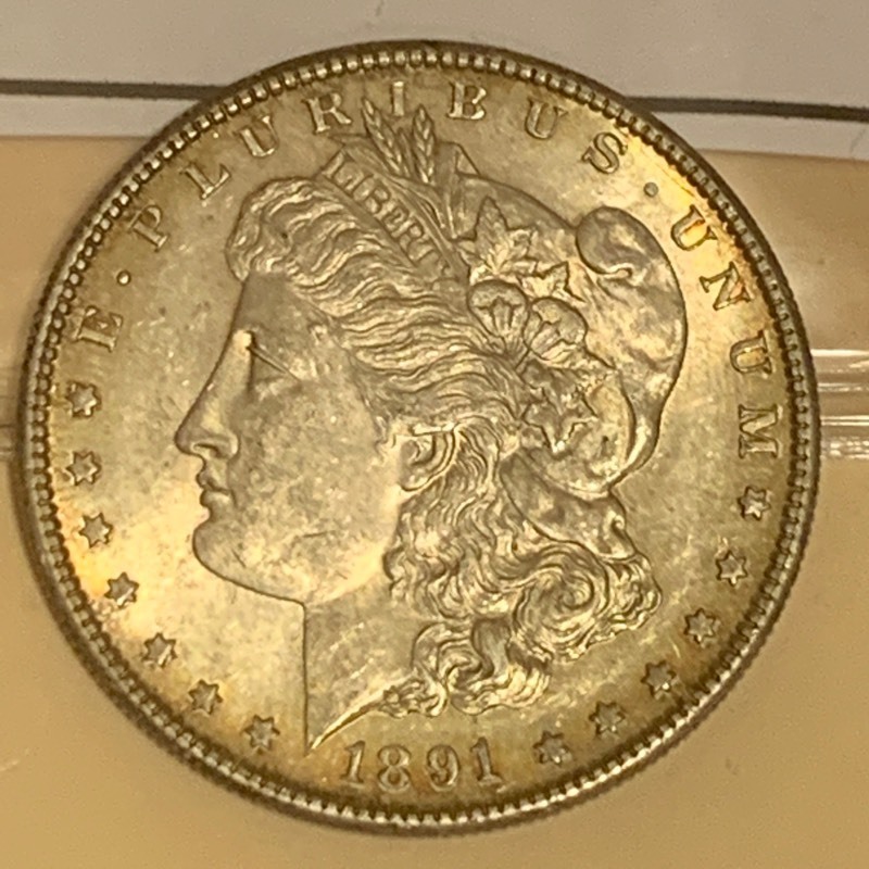 Morgan Silver Dollar