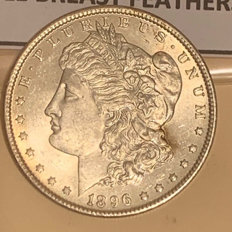 Morgan Silver Dollar