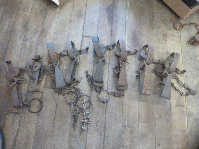 8 Animal Hunting Traps