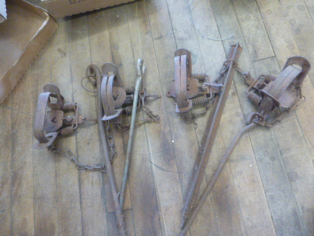 4 Animal Hunting Traps
