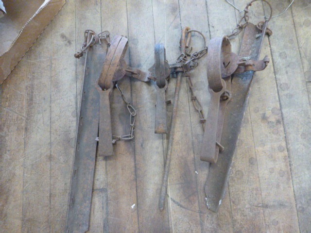 3 Animal Hunting Traps