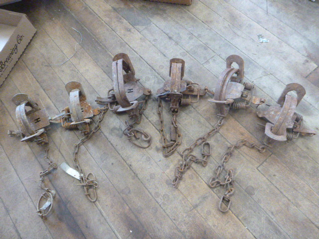 6 Animal Hunting Traps