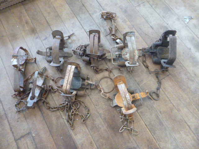 8 Animal Hunting Traps