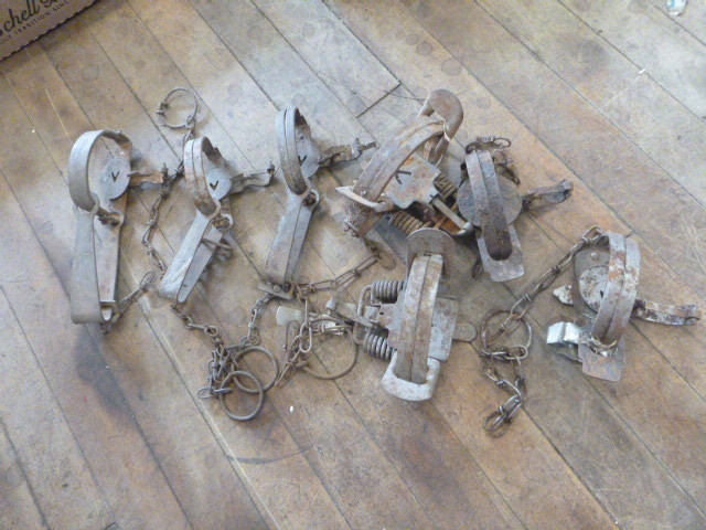 7 Animal Hunting Traps