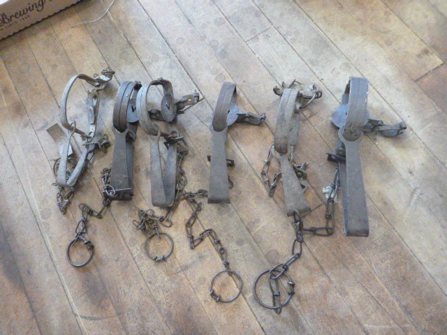 6 Animal Hunting Traps